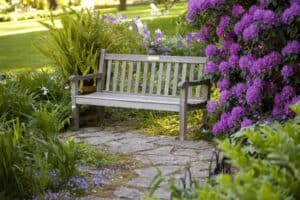 featured image showing a bench and stone path in a beautiful garden