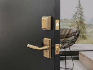 Featured image showing the Level Bolt on a new door.